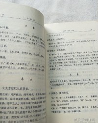 说毛的说怎么组词