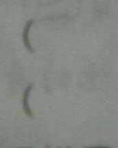 天怎么组词天怎么做