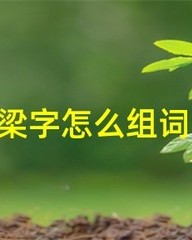 偷字怎么组词(偷 怎么组词)