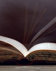 鸥怎么组词(鸥怎么组词语和拼音)