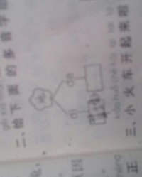 转有几个音分别怎么组词