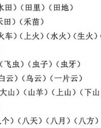 竹字头的罗可以怎么组词