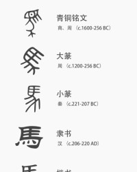 孔雀的孔字怎么组词呀