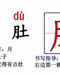 肚皮怎么组词(肚怎么组词肚皮的肚)