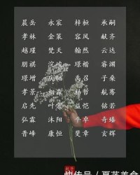 献怎么组词(献怎么组词语和拼音)