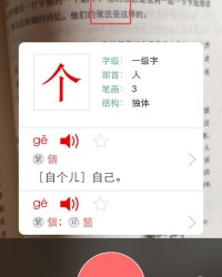 洋气还能怎么组词