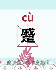 皱字怎么组词(皱怎么组词啊)