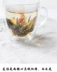 怯怎么读组词(怯怎么组词怎么读)