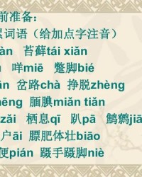 牲畜的畜的组词