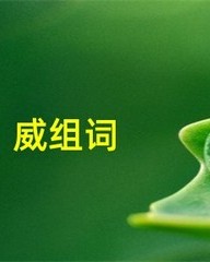 威的组词是(威的组词是什么啊怎么写)