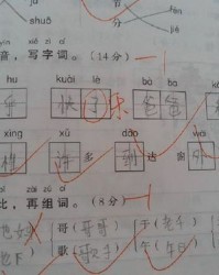 布偶猫怎么组词和拼音