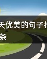 优美的柔怎么组词