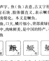 石头怎么组词(石头组词怎么写)