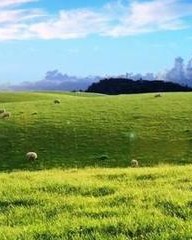 遭字怎么组词(遭字怎么组词是什么)