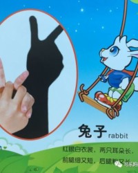 恐龙怎么组词孔雀的恐