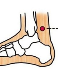 小度拇指的拇怎么组词