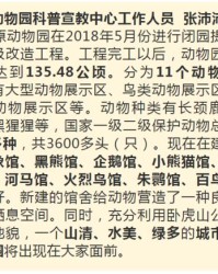 小度太原怎么组词的