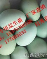 蛋壳的壳怎么组词