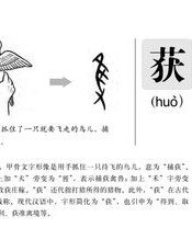 腱组词