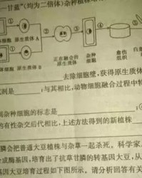 赶快赶怎么组词