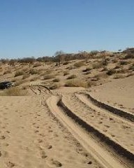 缩字组词(缩字组词和部首是什么)