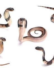 溂组词(溂组词和拼音怎么写)