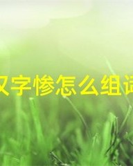 绝怎么组词(纪怎么组词)