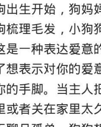 舔东西的添怎么组词