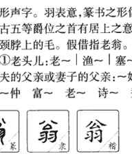 翁字组词(翁字组词和部首)