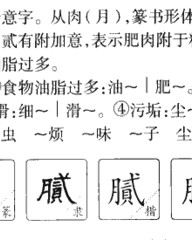 腻组词和部首(腻组词和部首结构是什么意思)