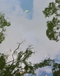 倒影的倒还能怎么组词