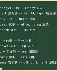 反正的反怎么组词语