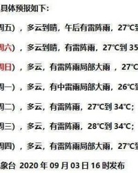 用雷雨的雷怎么组词