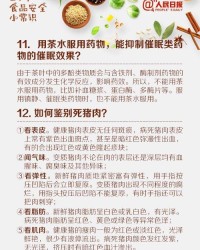 食品的食怎么组词