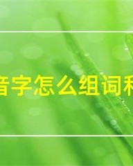 和怎么组词多音字(和组词多音字6个组词)