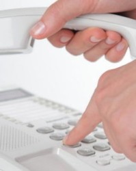 拔了的拔组词怎么组词