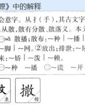 回来就来怎么组词