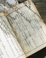 孙怎么组词语(孙怎么组词语一年级下册语文)