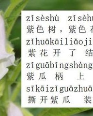 紫色的紫怎么组词(紫色怎么组词?)