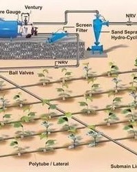 灌溉灌溉的溉怎么组词