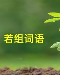 若怎么组词语(若怎么组词呢)