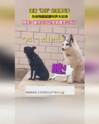 狗的叫声怎么组词呀