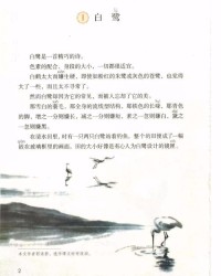 鹭黛怎么组词