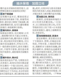 减轻的轻可以怎么组词