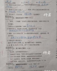 单人旁的字组词(单人旁的字组词头怎么组词)