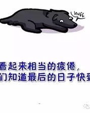 泪的组词有哪些