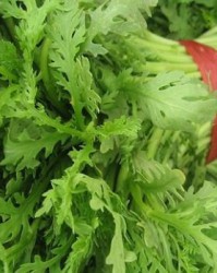 茼蒿好的茼怎么组词