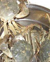 蟹的螃怎么组词