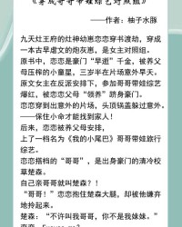 文思不懂的文怎么组词