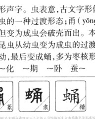 蛹怎么组词(茧字怎么组词?)